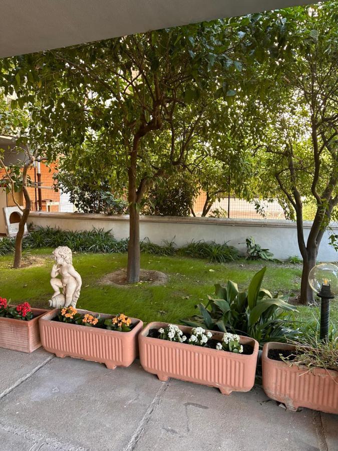Ajoaolbia B&B Εξωτερικό φωτογραφία